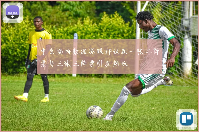 申京场均数据亮眼却仅获一张二阵票与三张三阵票引发热议