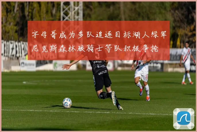 字母哥成为多队追逐目标湖人绿军尼克斯森林狼骑士等队积极争抢