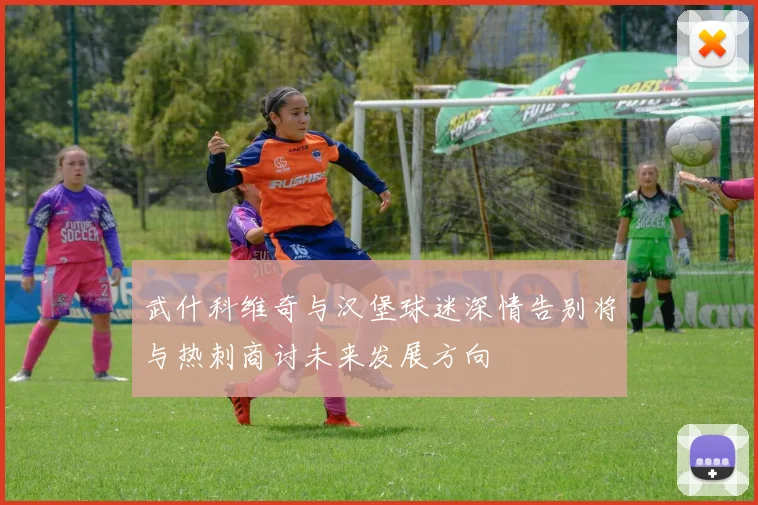 武什科维奇与汉堡球迷深情告别将与热刺商讨未来发展方向