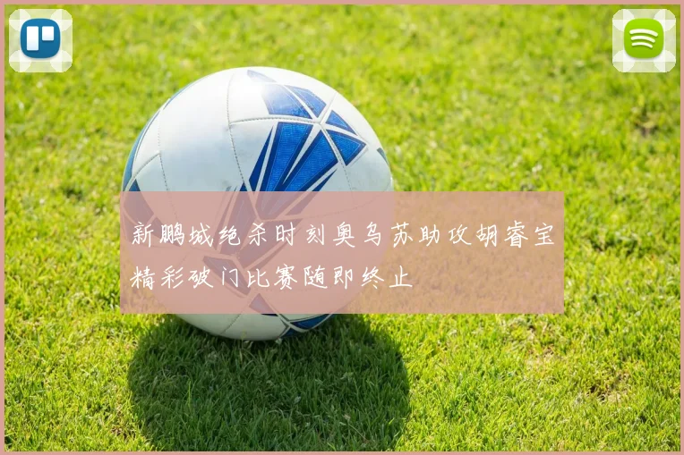 新鹏城绝杀时刻奥乌苏助攻胡睿宝精彩破门比赛随即终止